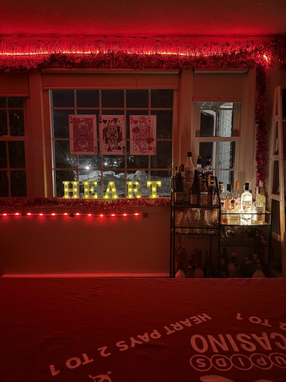 Dark Lit Room at Casino Theme Dinner Party